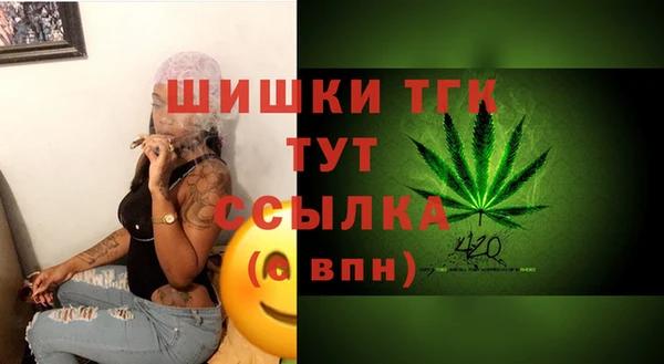 первитин Богданович