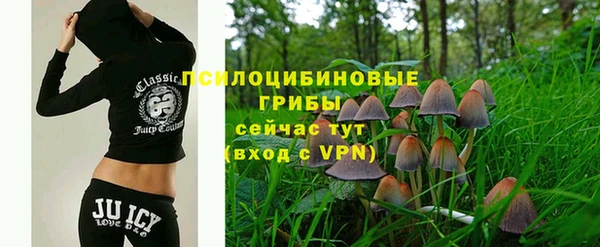 прущие грибы Семилуки