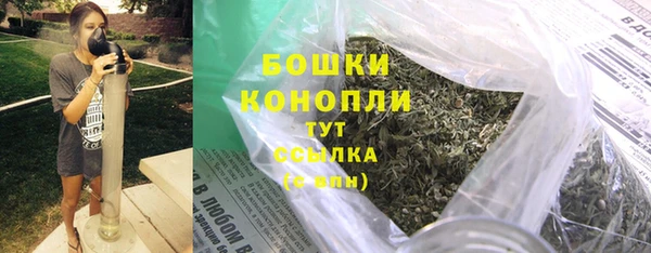 дмт Богородицк